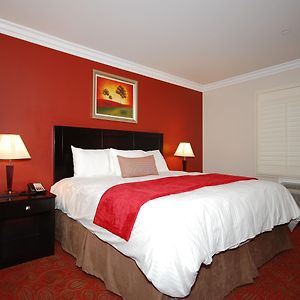 Queen Room Two Queen Beds